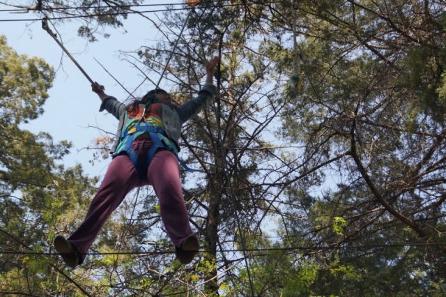 Colgando entre ramas